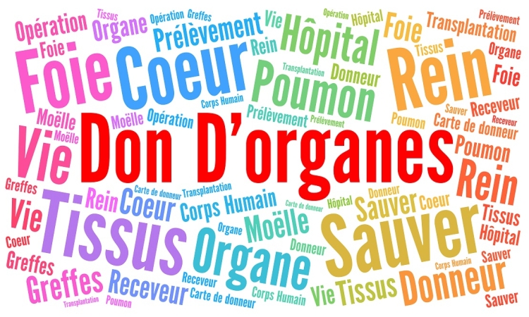 Le don d'organe : un geste de vie